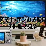 デジカメ写真テレビで見る。